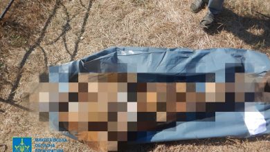 ексгумація тіла загиблого