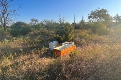 сміття у парку "Дружба"