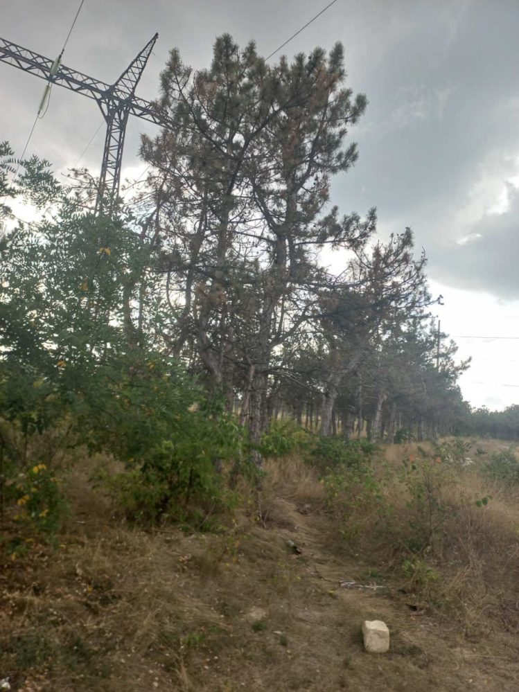 парк Дружба