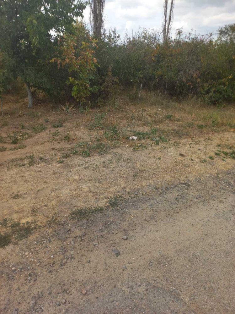 парк Дружба