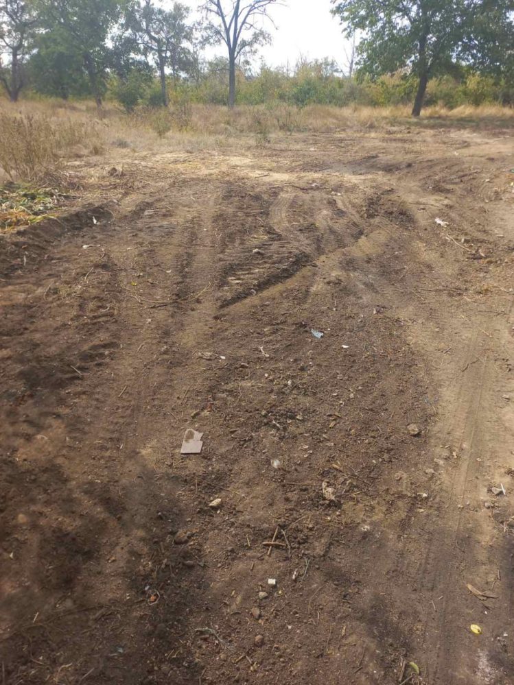 парк Дружба