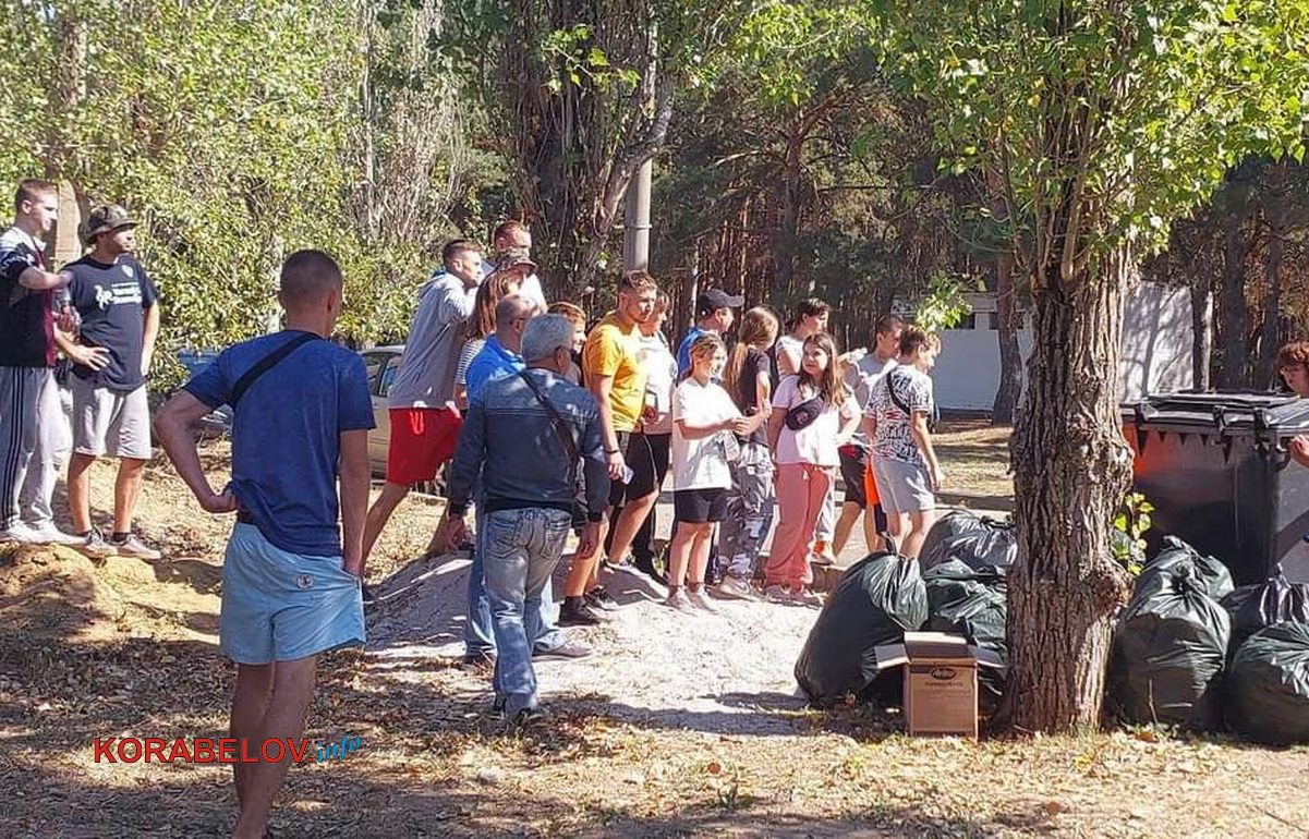 еко-толока на пляжі "Чайка