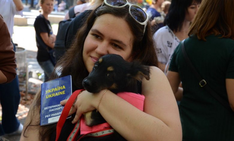 благодійна акція з прилаштування собак