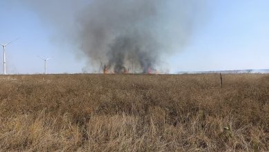 пожежа за Лиманами