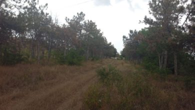 у парку "Дружба" ліквідували сміттєзвалища