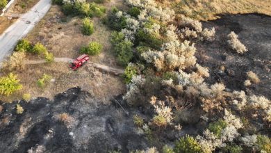 пожар на открытой территории