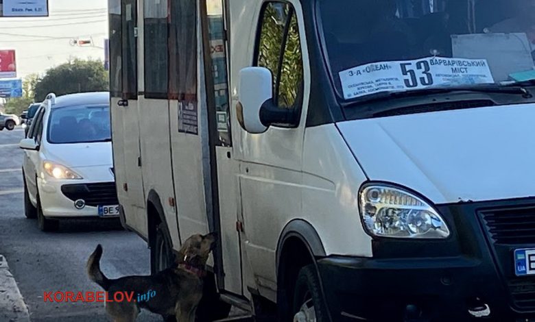 Маршрут №53