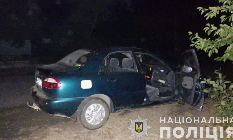 На Миколаївщині "Деу" наїхав на жінку, що сиділа на лавці біля будинку