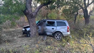 На Миколаївщині Opel Astra врізався у дерево - водій загинув на місці