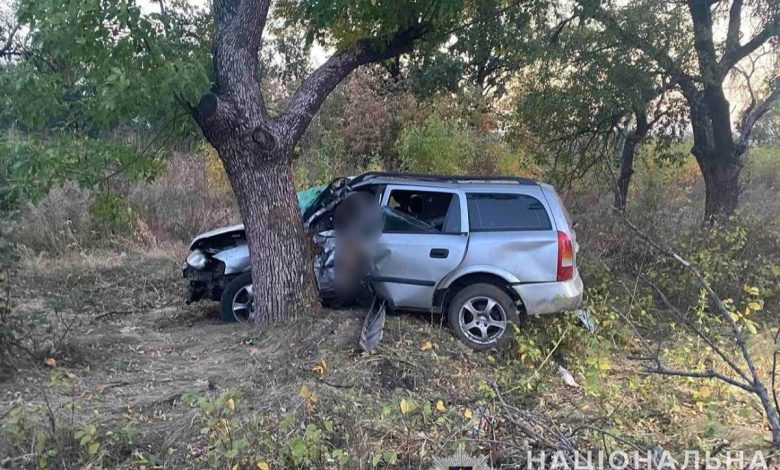 На Николаевщине Opel Astra врезался в дерево - водитель погиб на месте