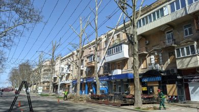 дерева у Миколаєві