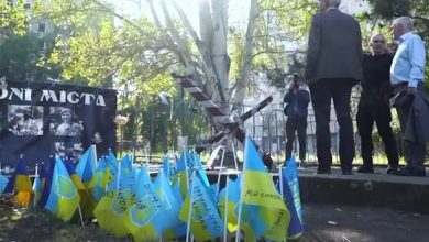 Біля Миколаївської ОВА: прапорці на пам'ять про загиблих воїнів ЗСУ