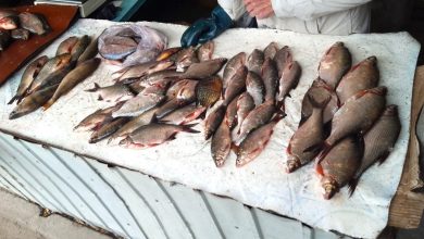 незаконний продаж риби у Корабельному районі