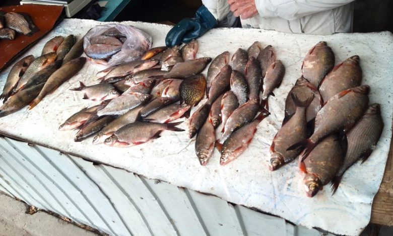 незаконний продаж риби у Корабельному районі