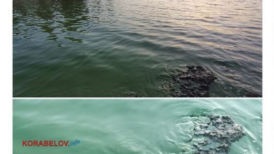 пляж "Чайка" 22.10.2323