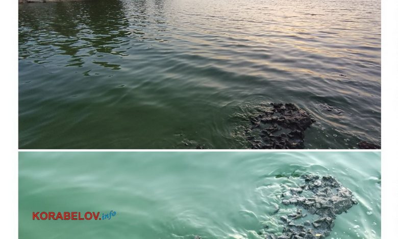 пляж "Чайка" 22.10.2323