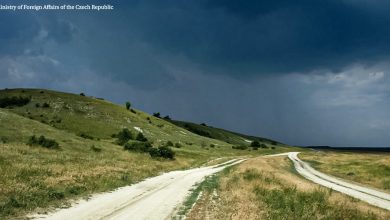Територія нацпарку на Миколаївщині. Фото: М. Олександрович