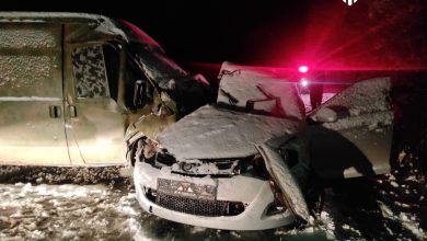Загибель миколаївської журналістки розслідує ДБР