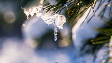 на Миколаївщині прогнозують потепління