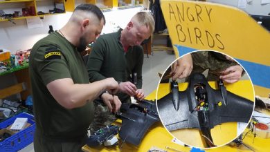 Розробники