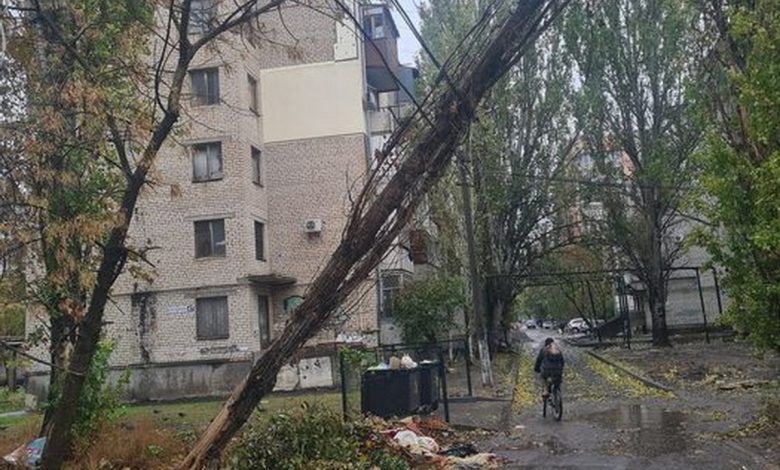 Дерево на електромережі в Миколаєві