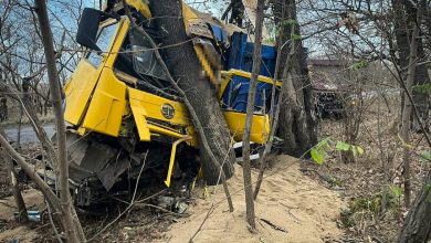 на Миколаївщині вантажівка злетіла з дороги і в’їхала в дерево
