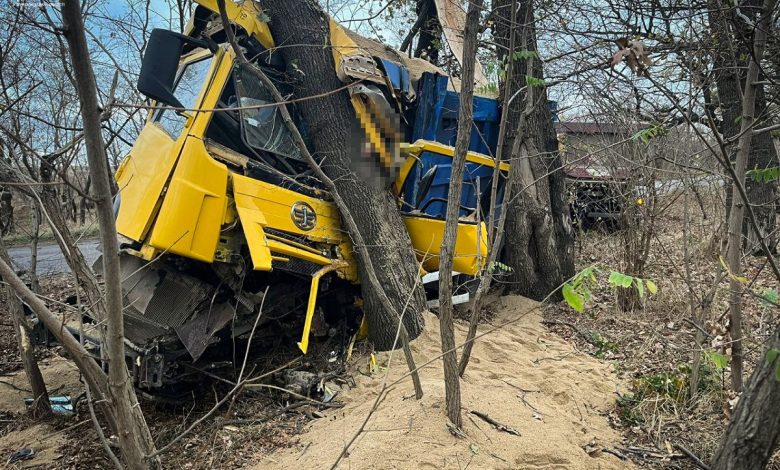 на Миколаївщині вантажівка злетіла з дороги і в’їхала в дерево