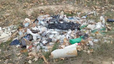 Звалище сміття у парку "Дружба"