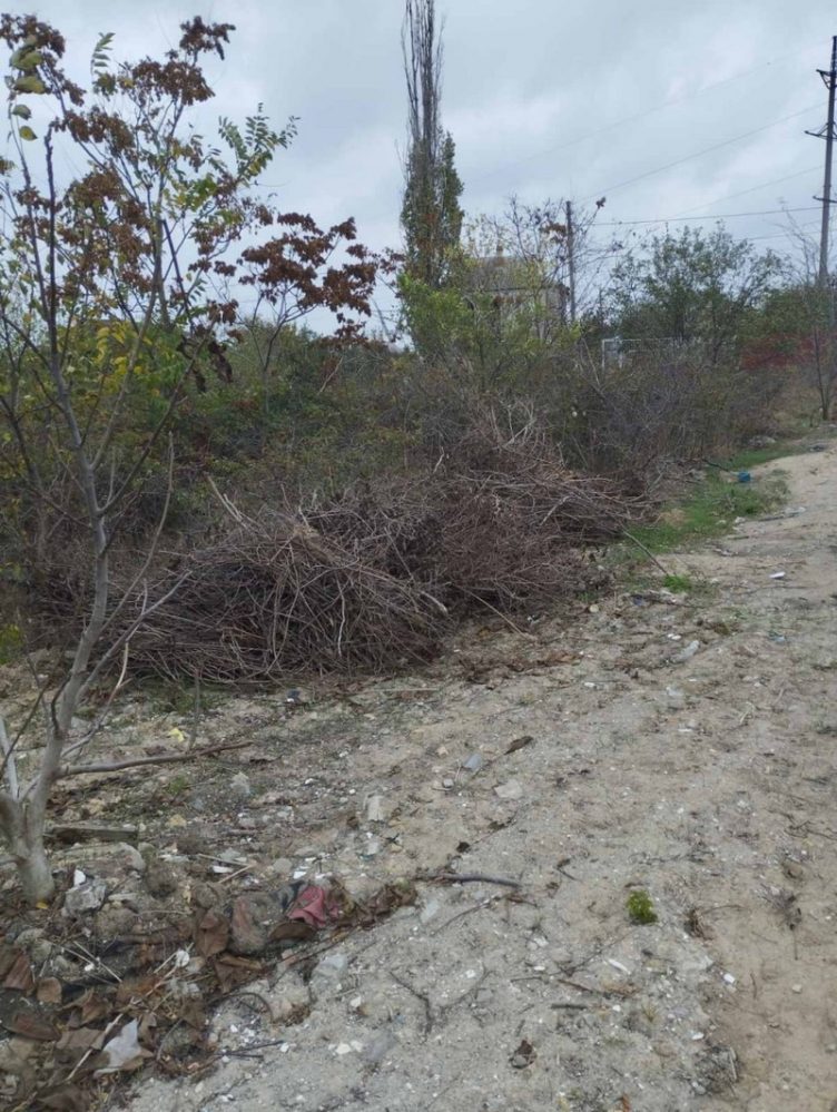 Звалище сміття у парку "Дружба"