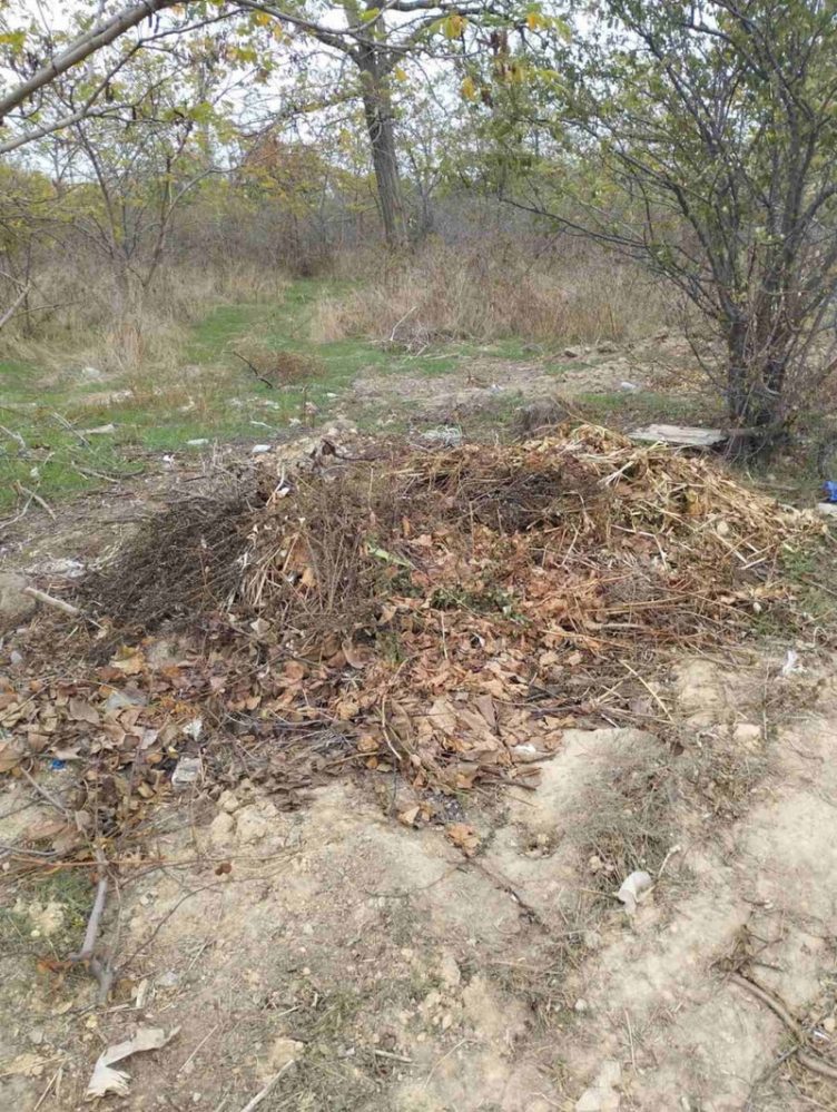 Звалище сміття у парку "Дружба"