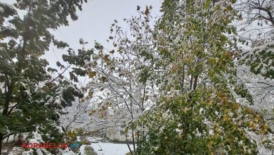 Корабельний район Миколаєва 20.11.2023