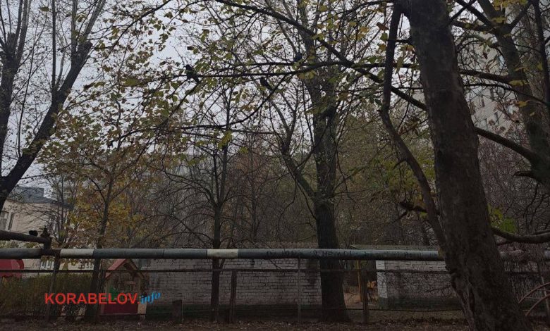 труби опалення в Корабельному районі