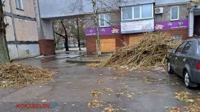 Корабельний район Миколаєва: гілки дерев попадали через негоду