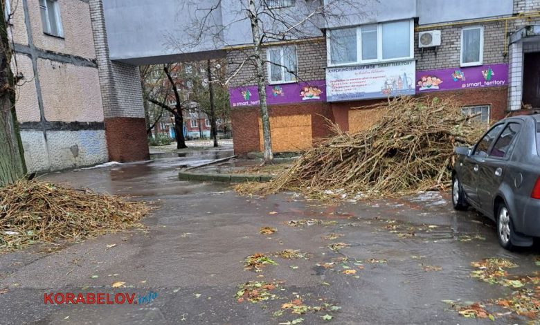 Корабельний район Миколаєва: гілки дерев попадали через негоду