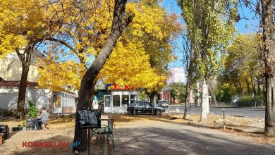 Стихійка по проспекту Богоявленському 311