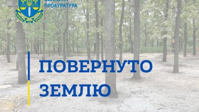 На Николаевщине суд вернул государству земли леса стоимостью 3,5 миллиона гривен