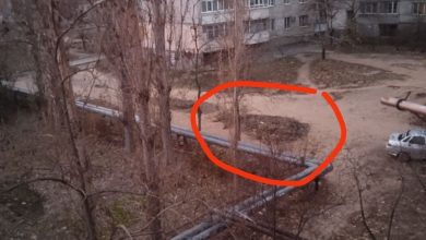 Стихійне звалище між будинками по вул. Ольжича