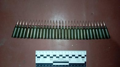 На Миколаївщині поліцейські вилучили у місцевого мешканця набої та гранати
