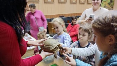 Миколаївський зоопарк запрошує відчути його на дотик