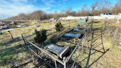 Кладовище на Миколаївщині