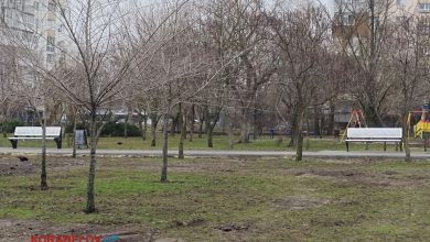 Нові лавки біля Корабельної адміністрації