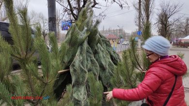 Продаж ялинок в Корабельному районі