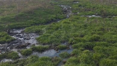 у Корабельному районі дослідили майданчик, де асенізаційні машини зливають відходи