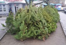 продаж ялинок