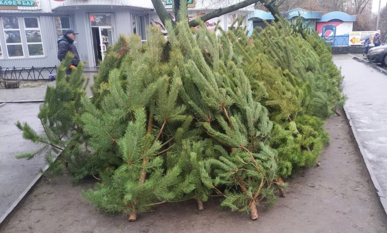 продаж ялинок