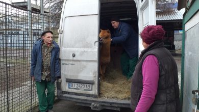 Експозиція Миколаївського зоопарку поповнилась новими видами тварин та птахів