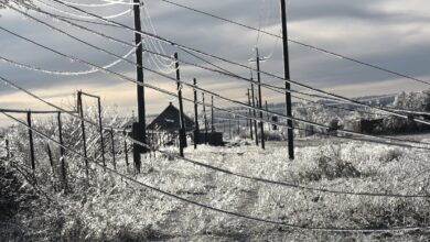 "Николаевоблэнерго" после непогоды продолжает ремонтировать сети