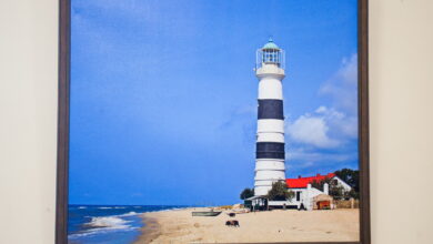 виставка фоторобіт