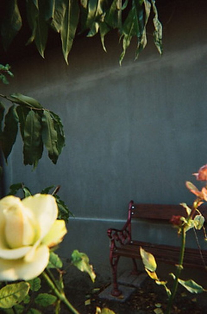 фото Юлі з Лупарево