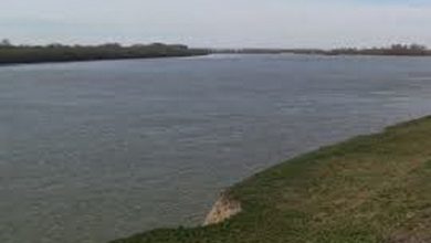 Берег річки
